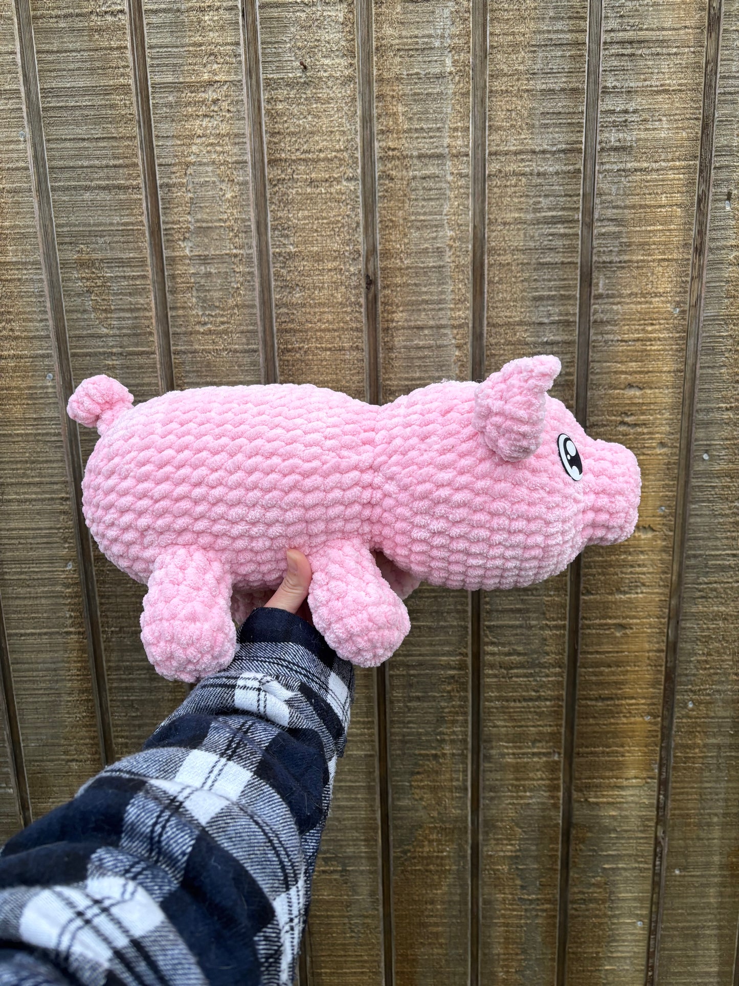 Large pig ready to ship 1 available