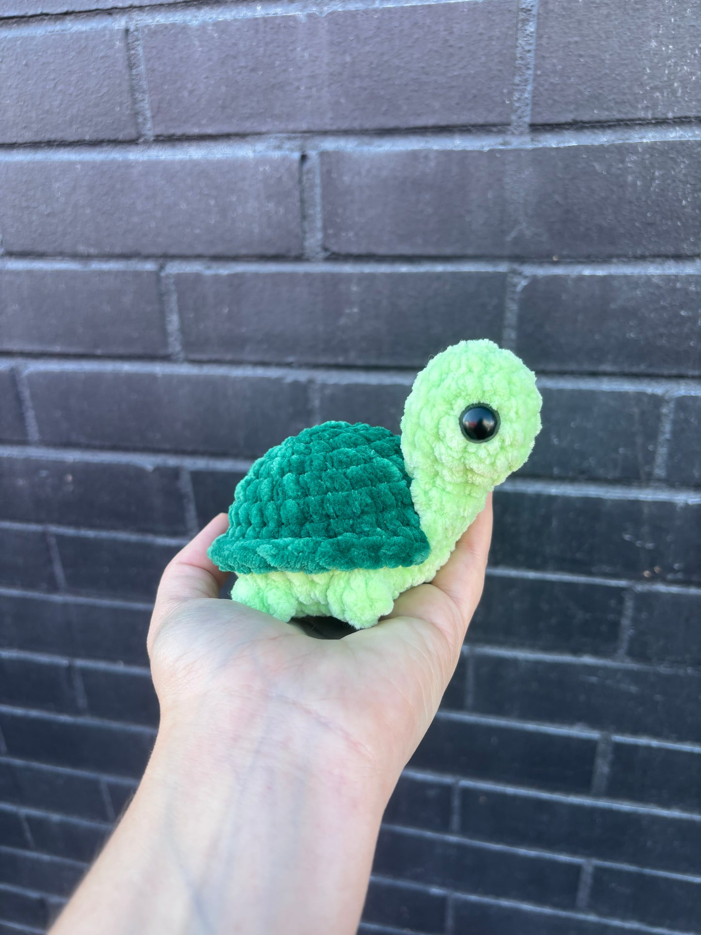 Mini Turtle