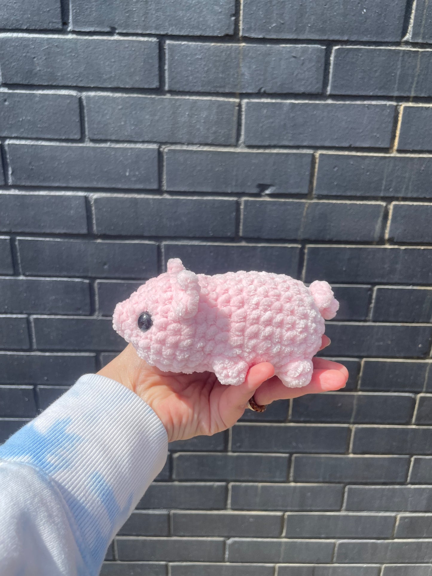 Mini pig