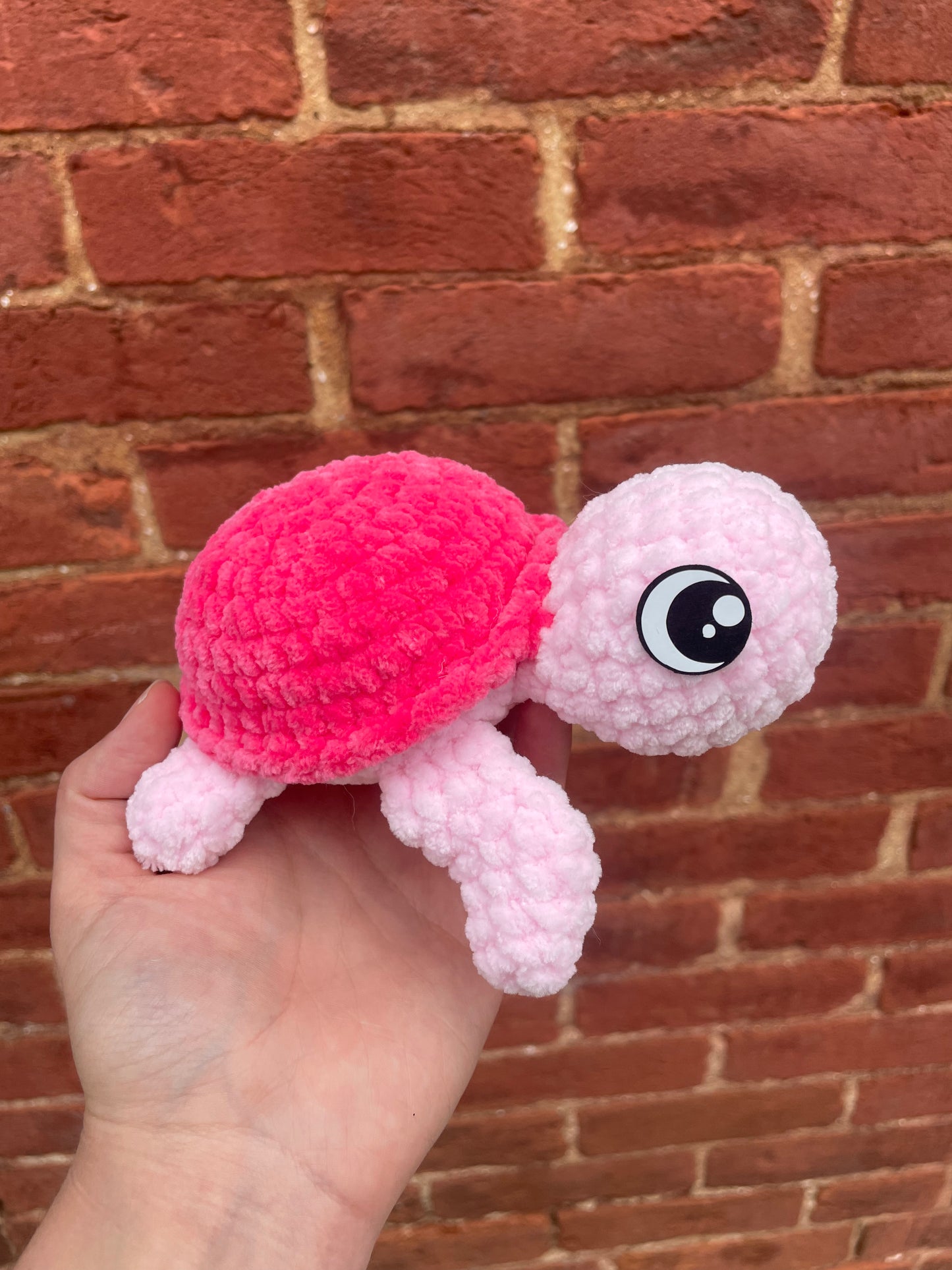 Small turtles