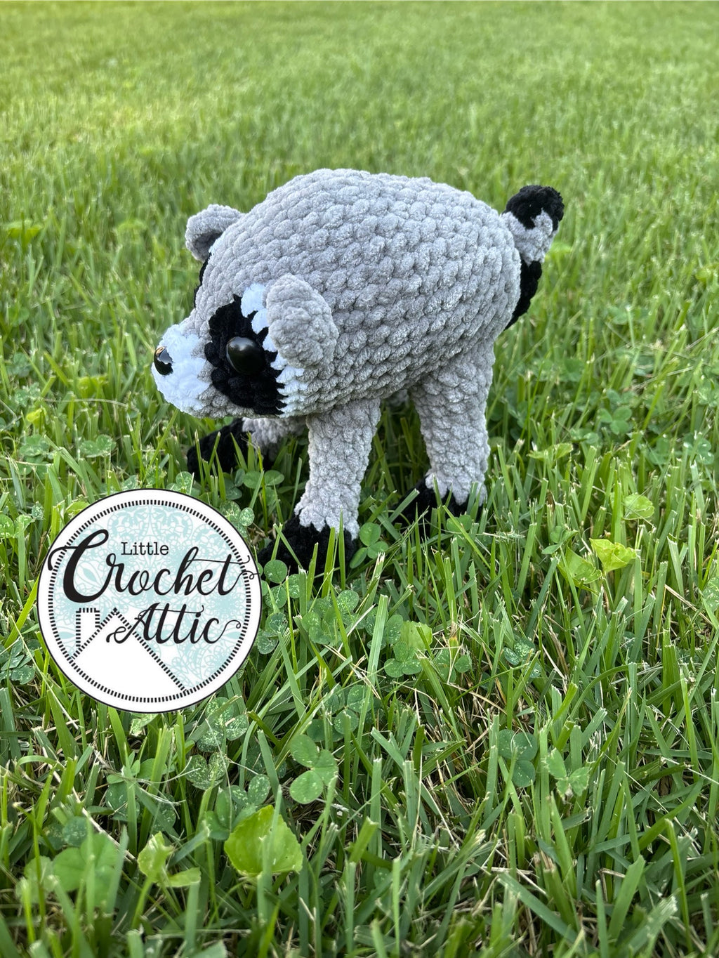 Jimothy the raccoon