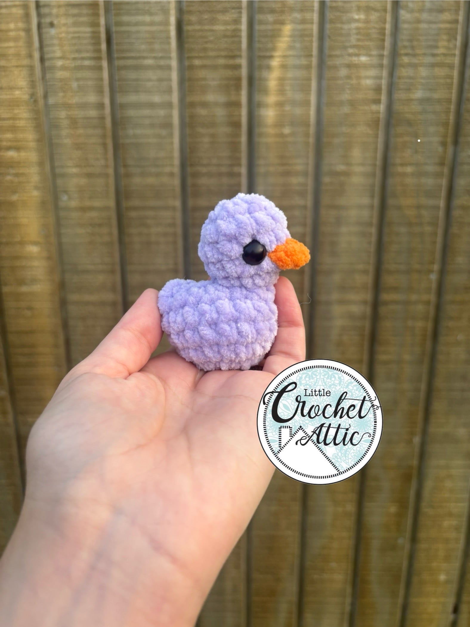 Mini ducks