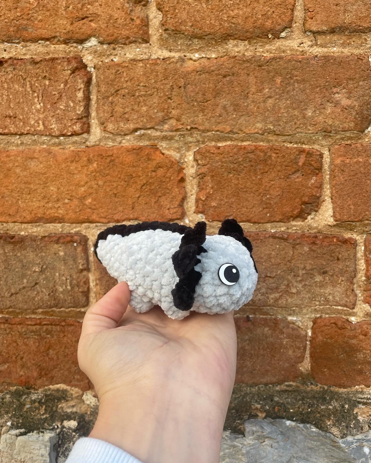 Mini axolotl