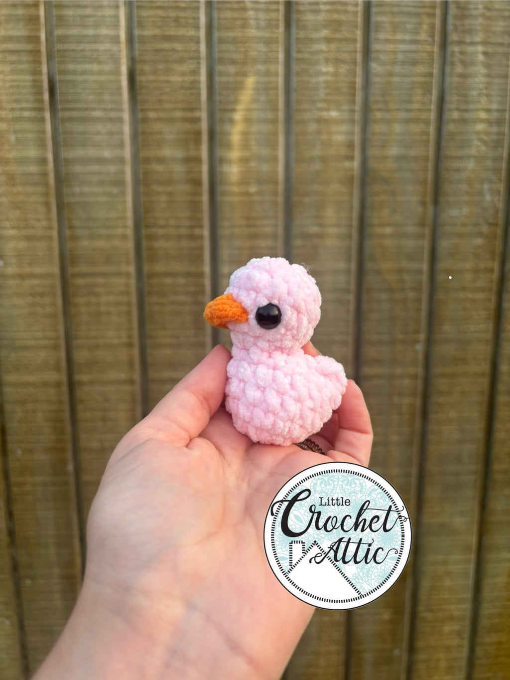 Mini ducks