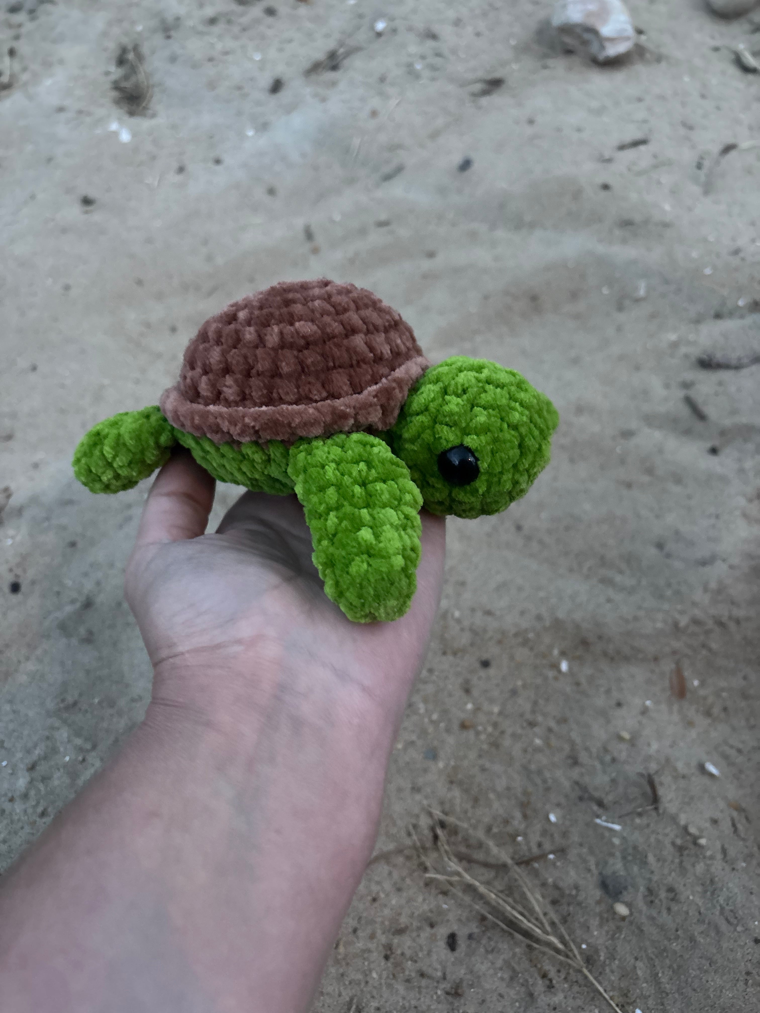 Mini sea turtles