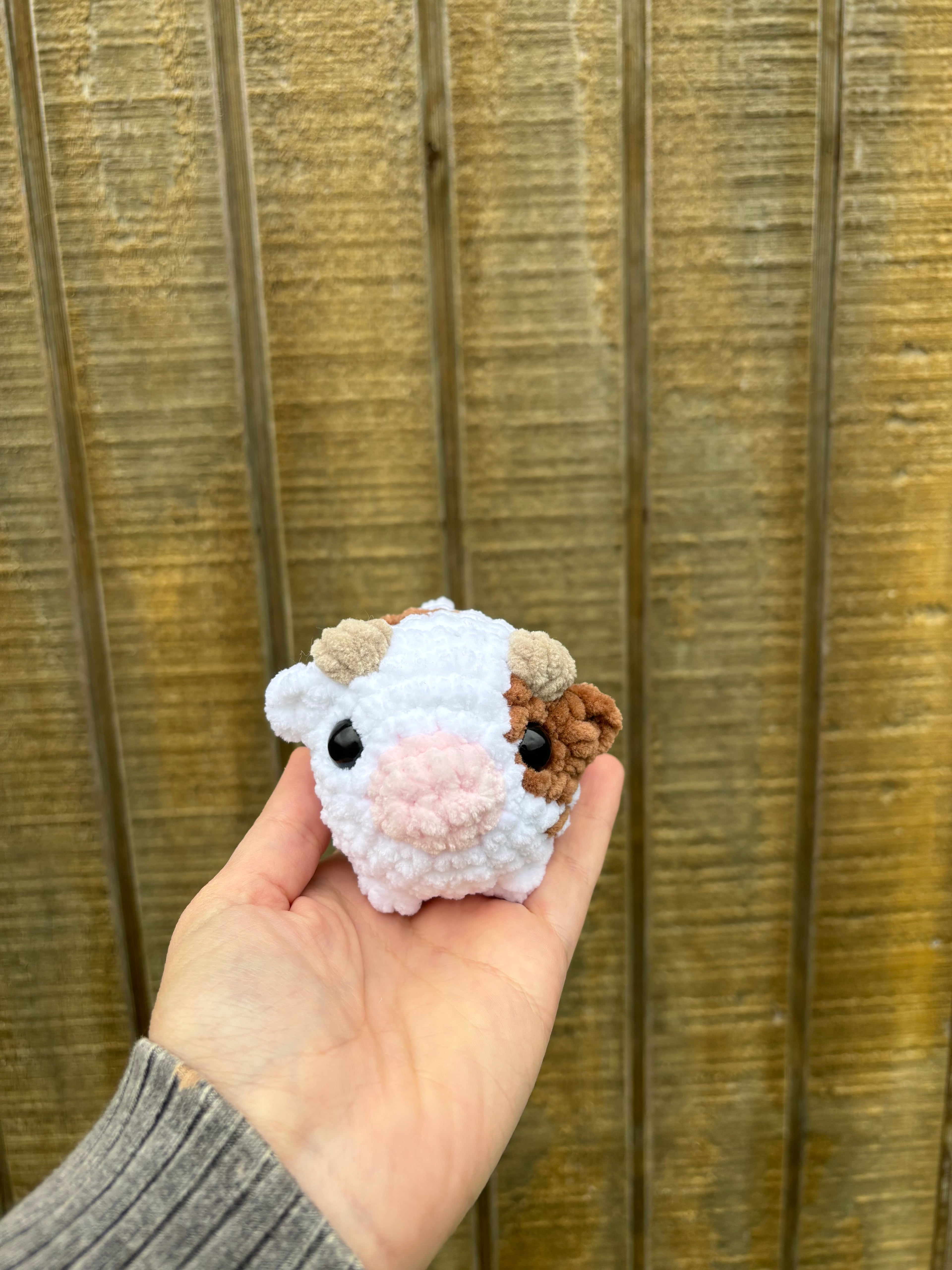 Mini Cows
