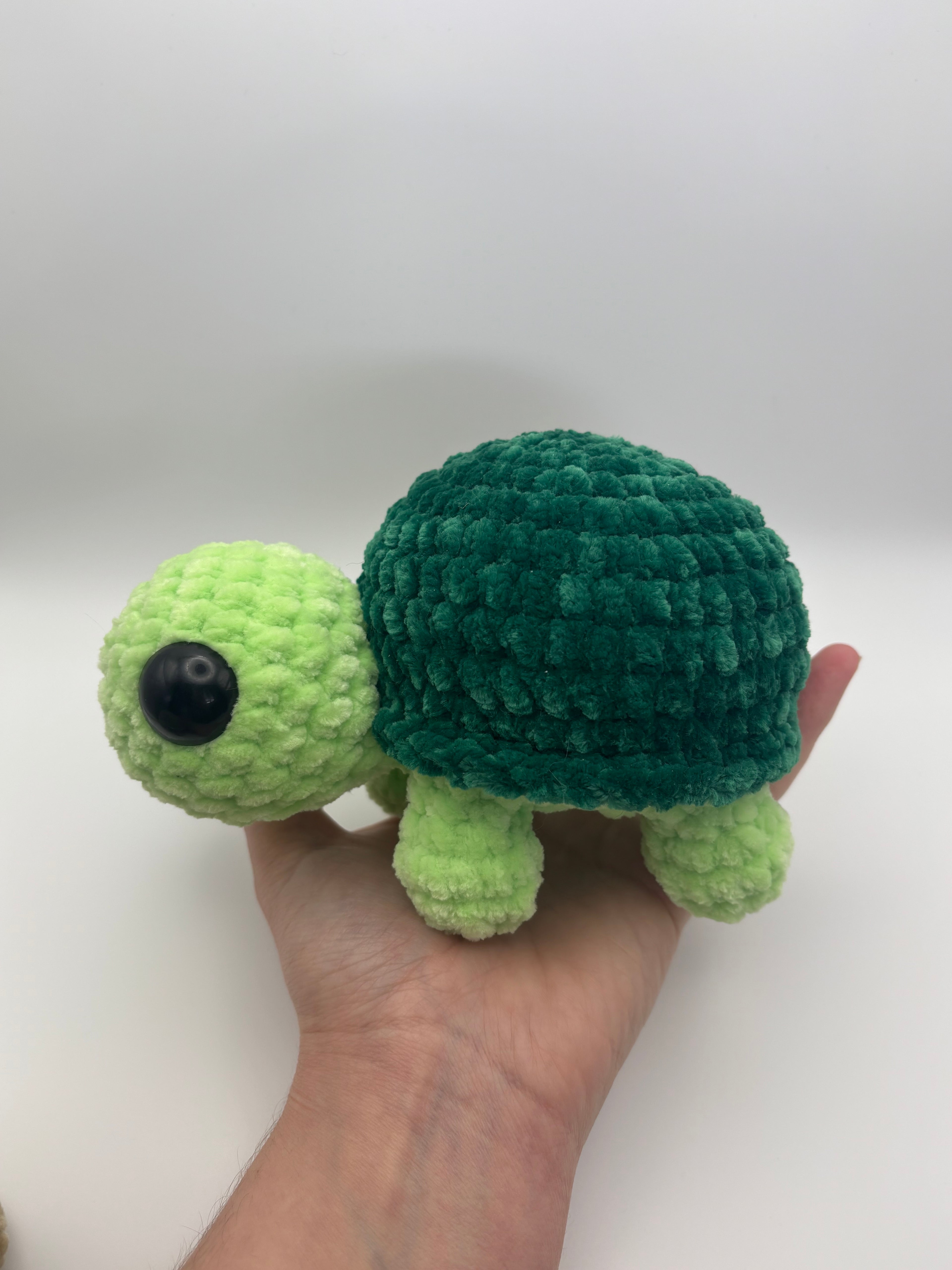 Small turtles