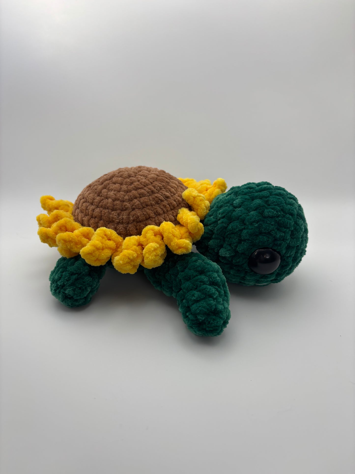 Small sunflower turtle