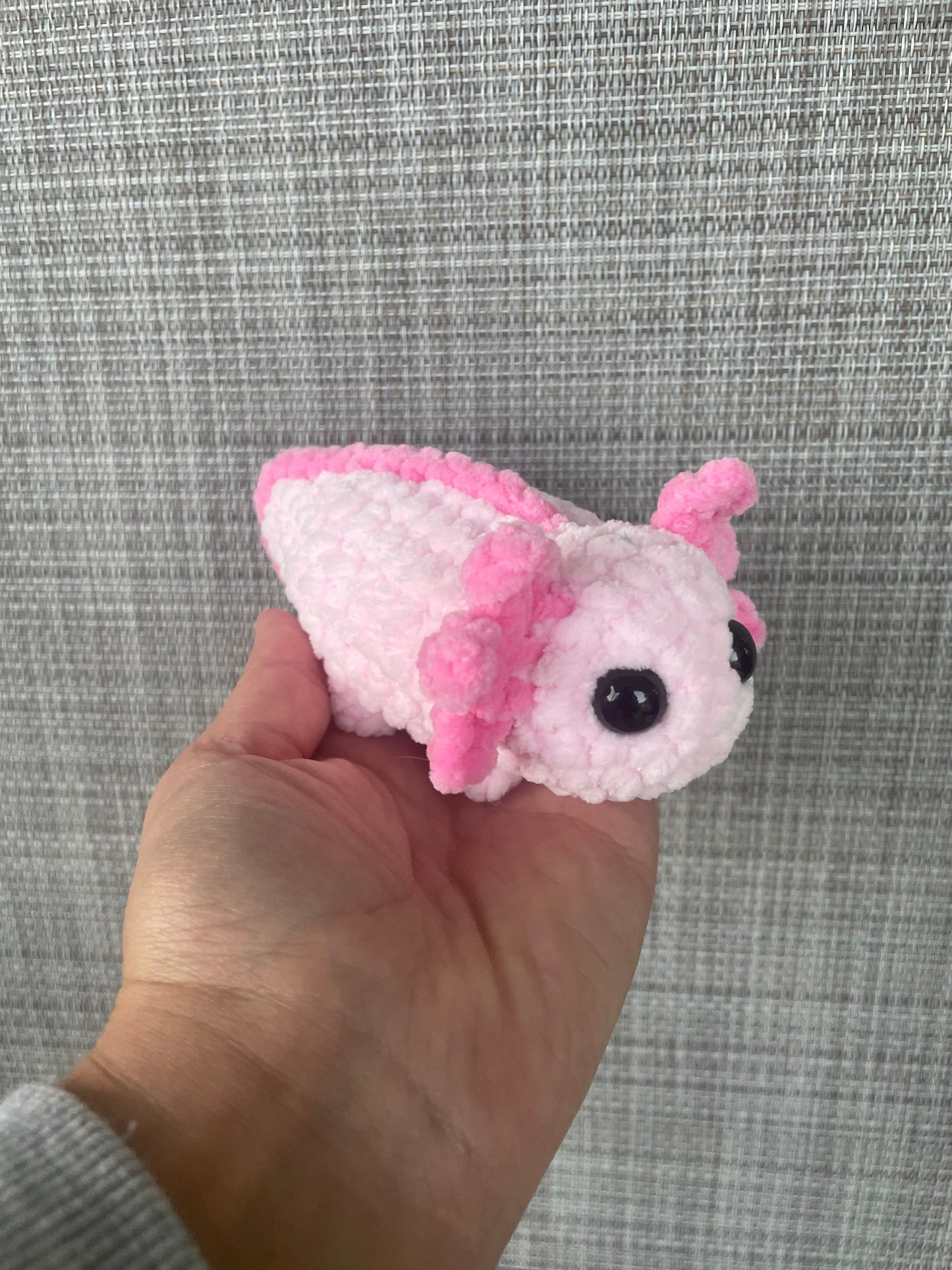 Mini axolotl