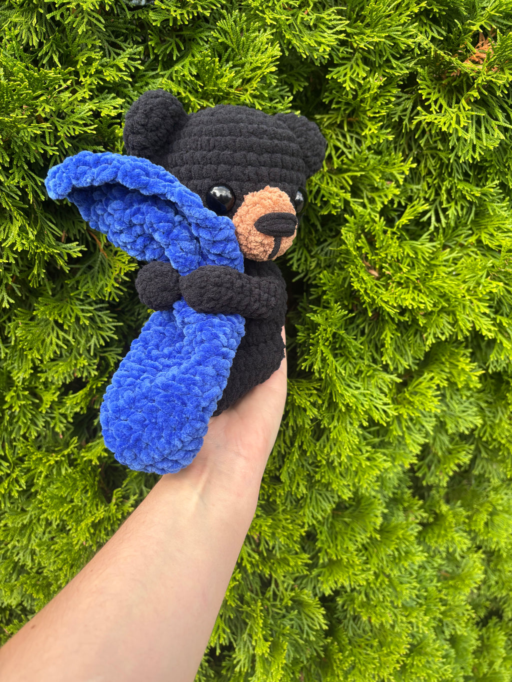 Black bear w/ blanket