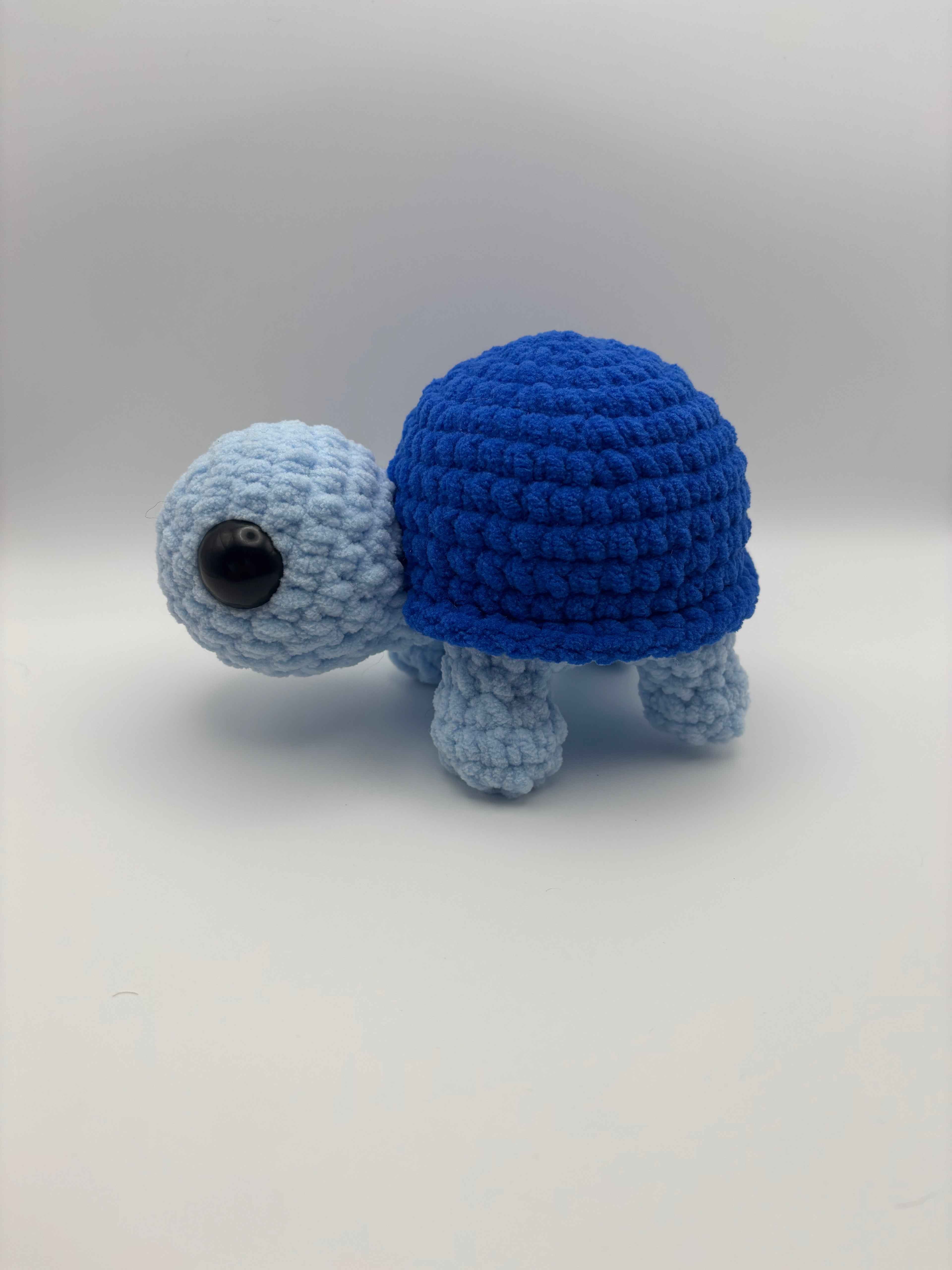 Small turtles