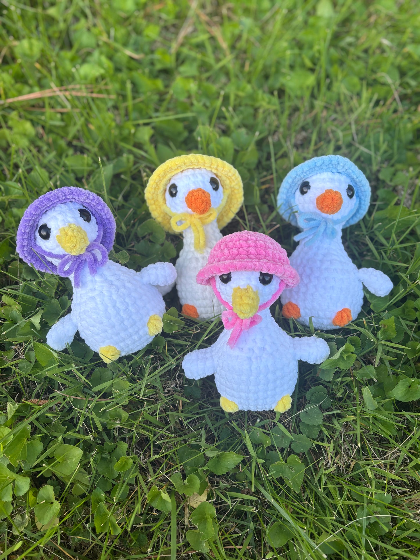 Geese with hat