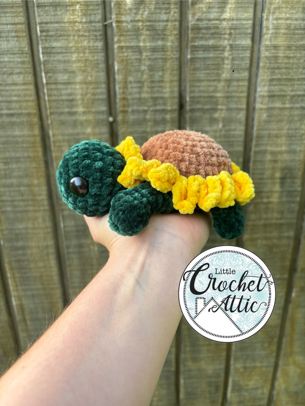 Small sunflower turtle