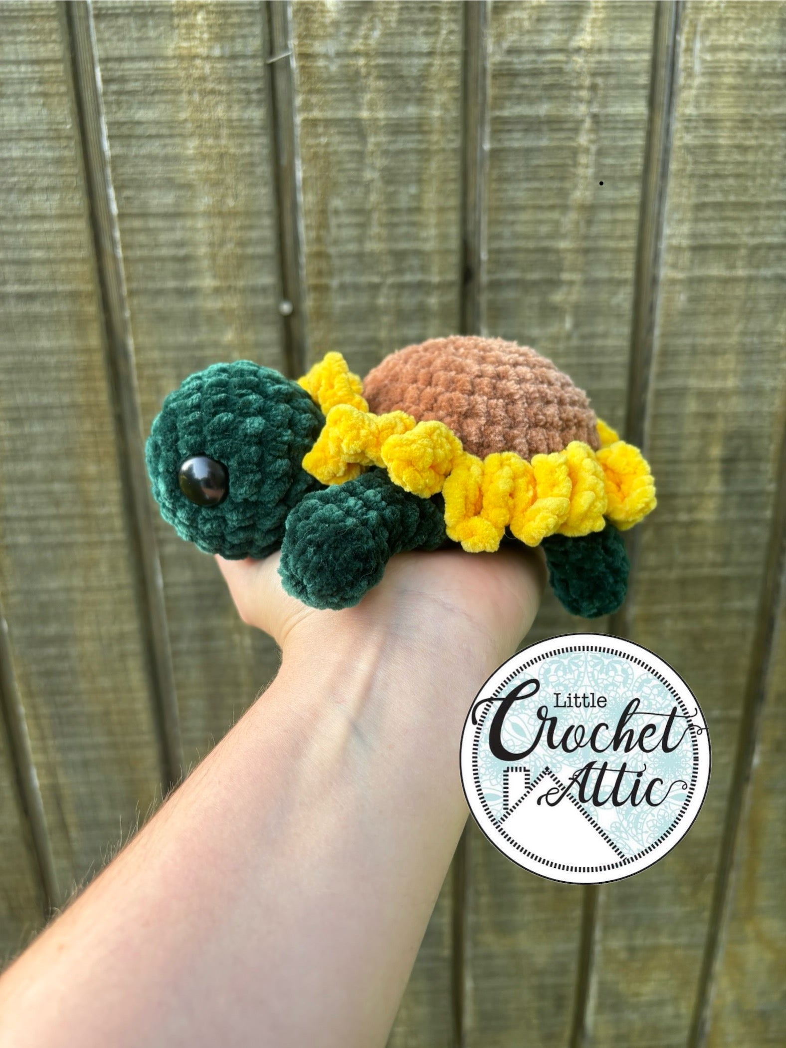 Small sunflower turtle