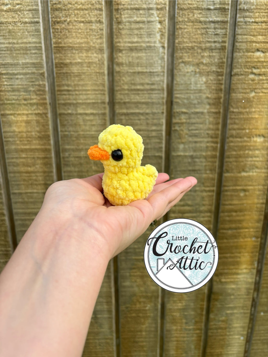 Mini ducks