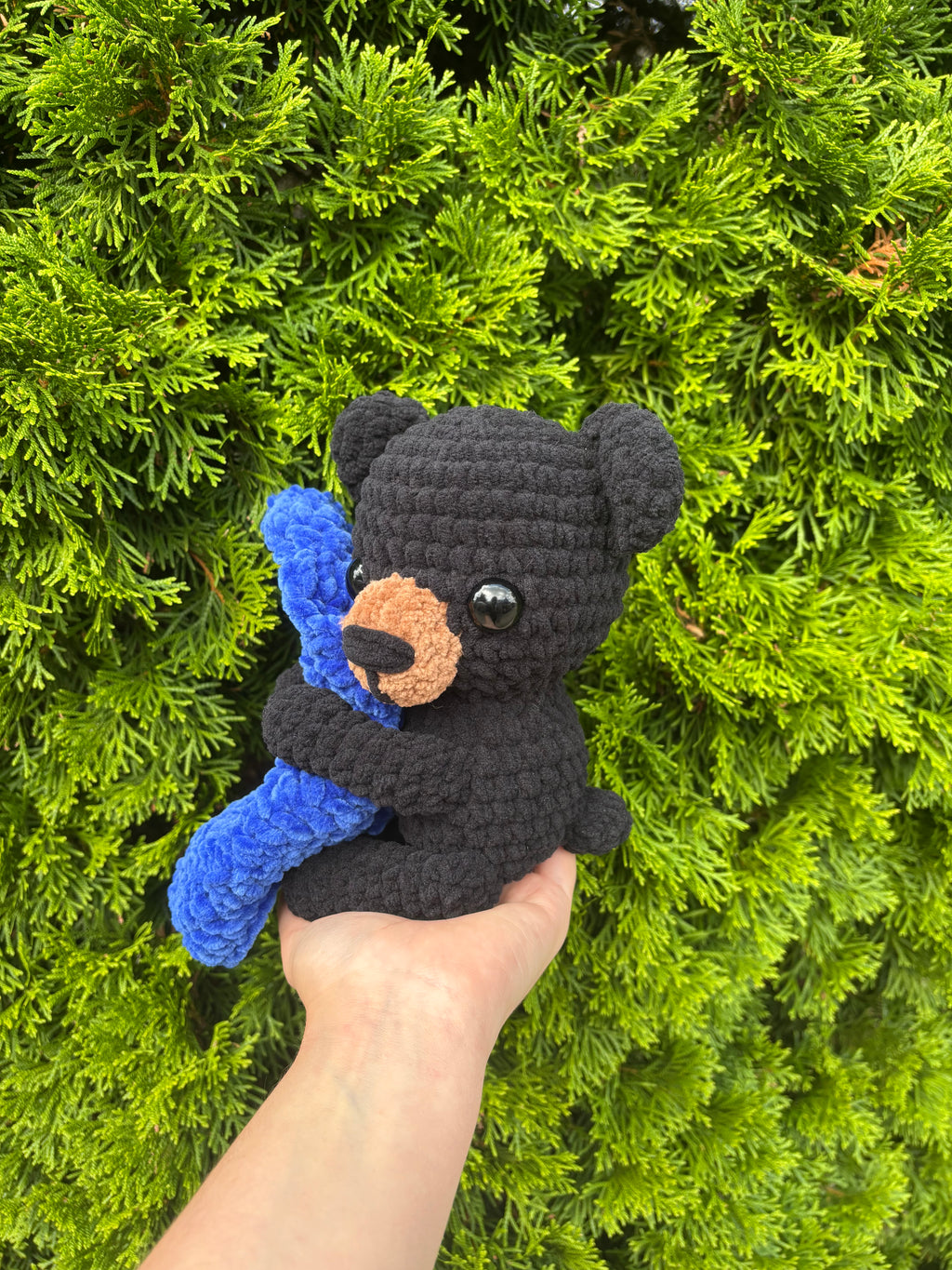 Black bear w/ blanket