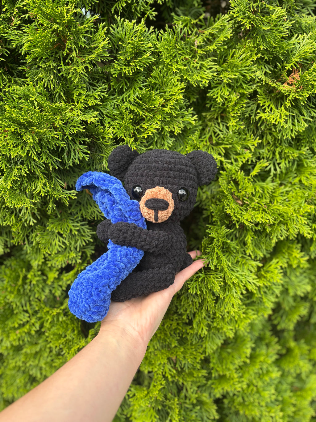 Black bear w/ blanket