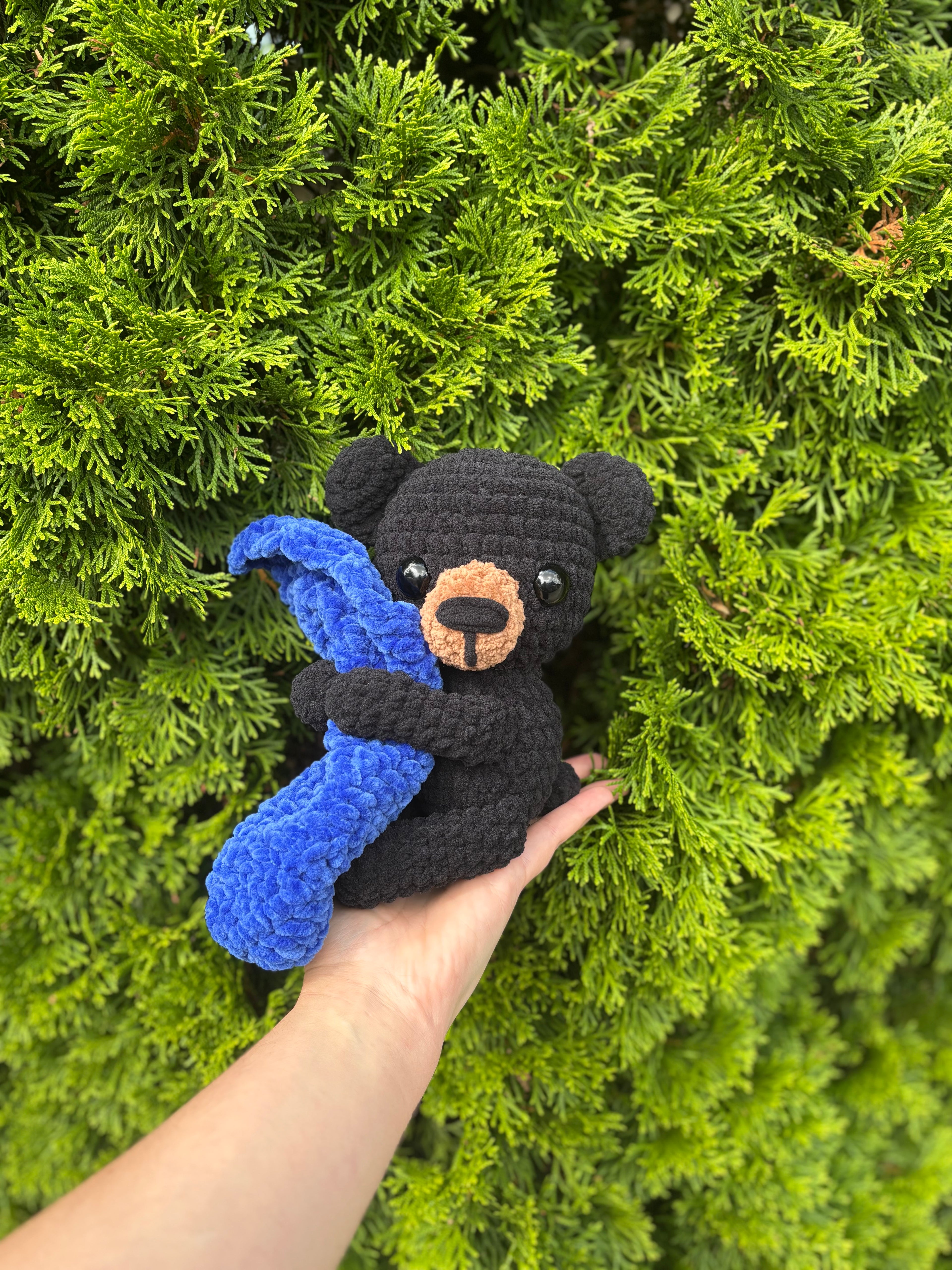 Black bear w/ blanket