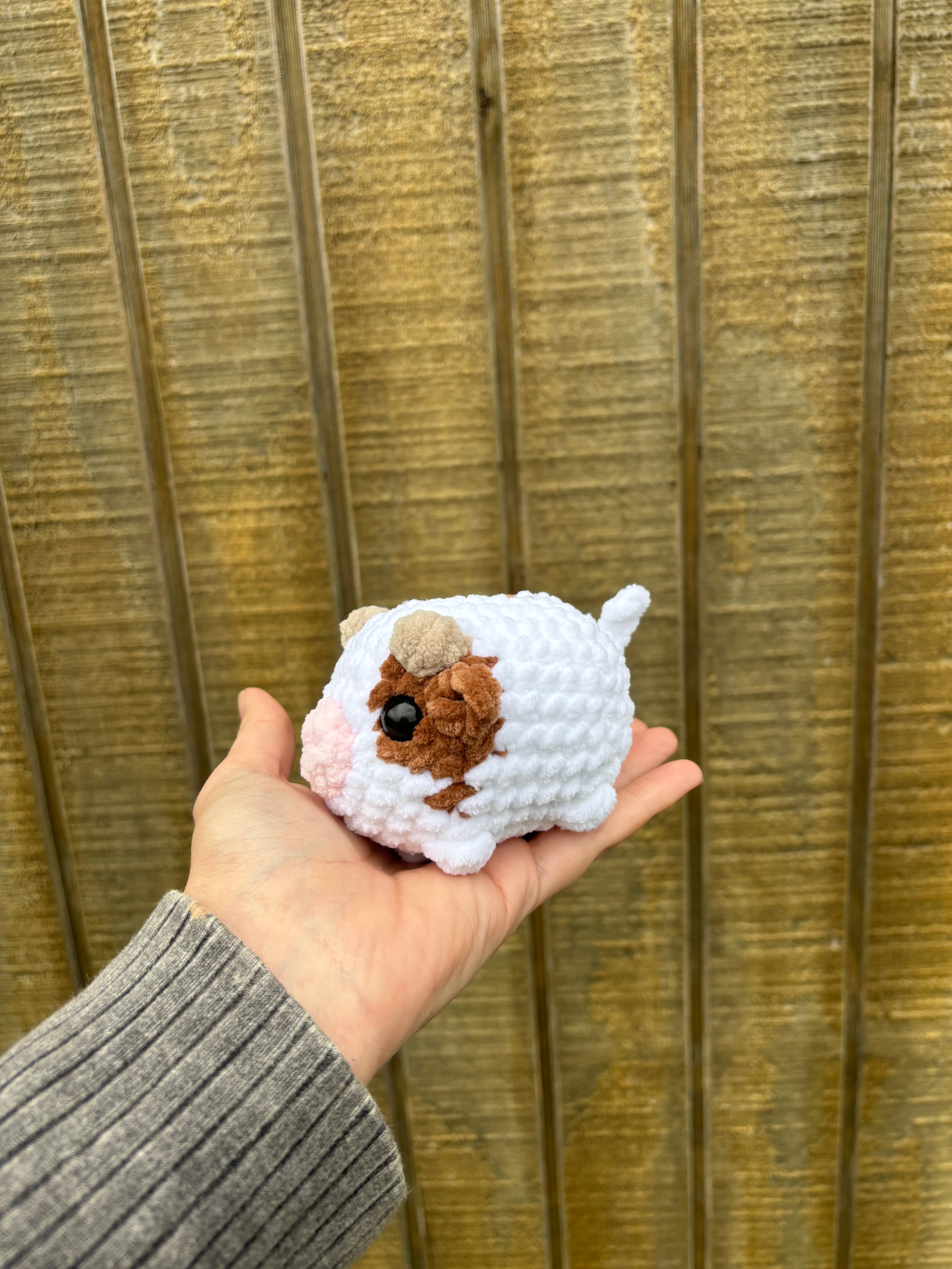 Mini Cows