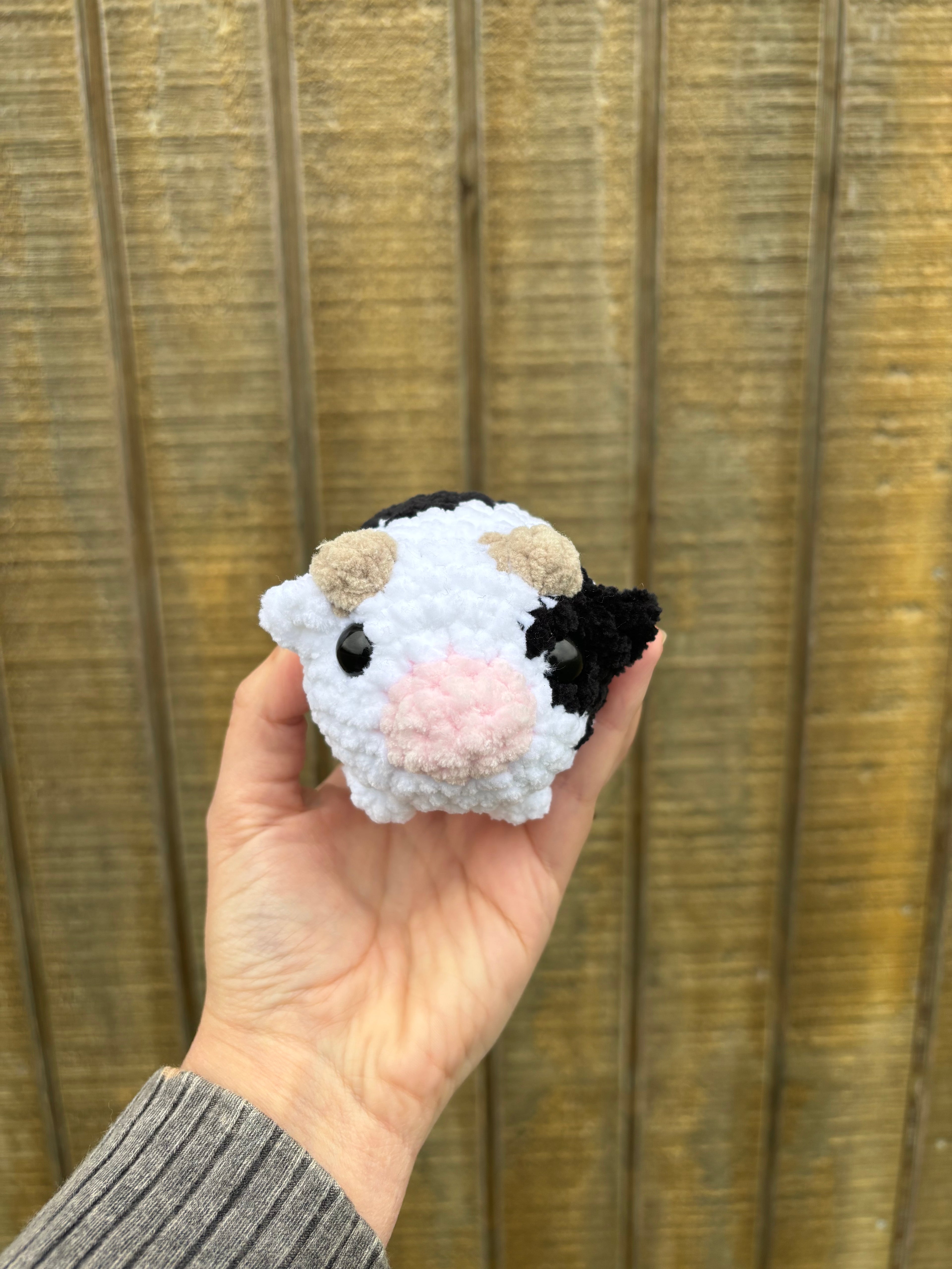 Mini Cows