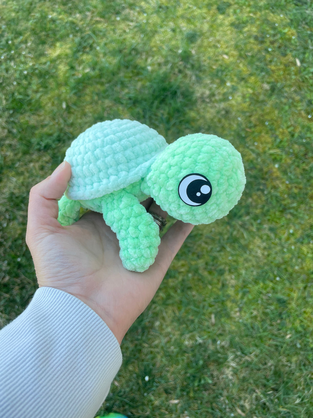 Small turtles