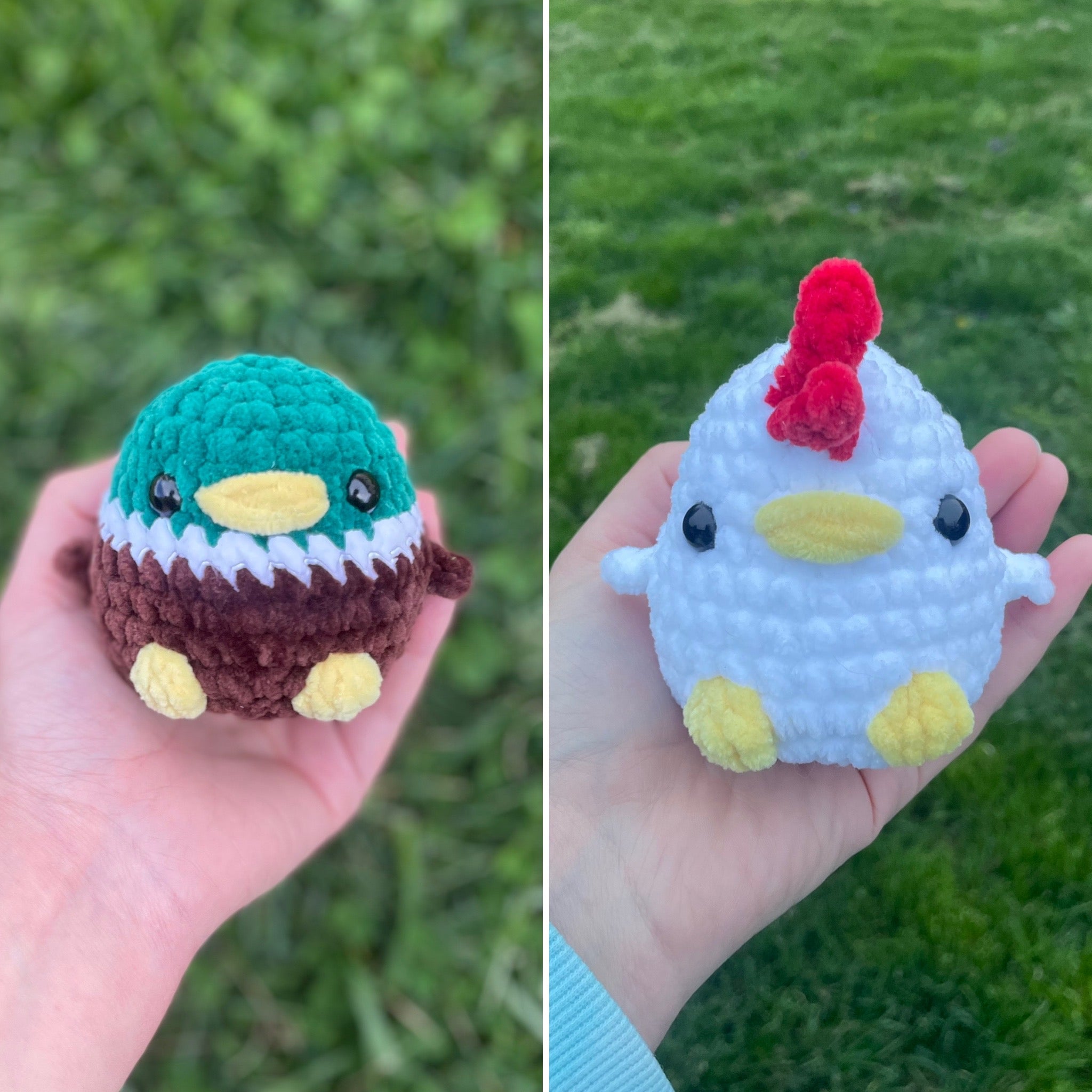 Duck or Chicken