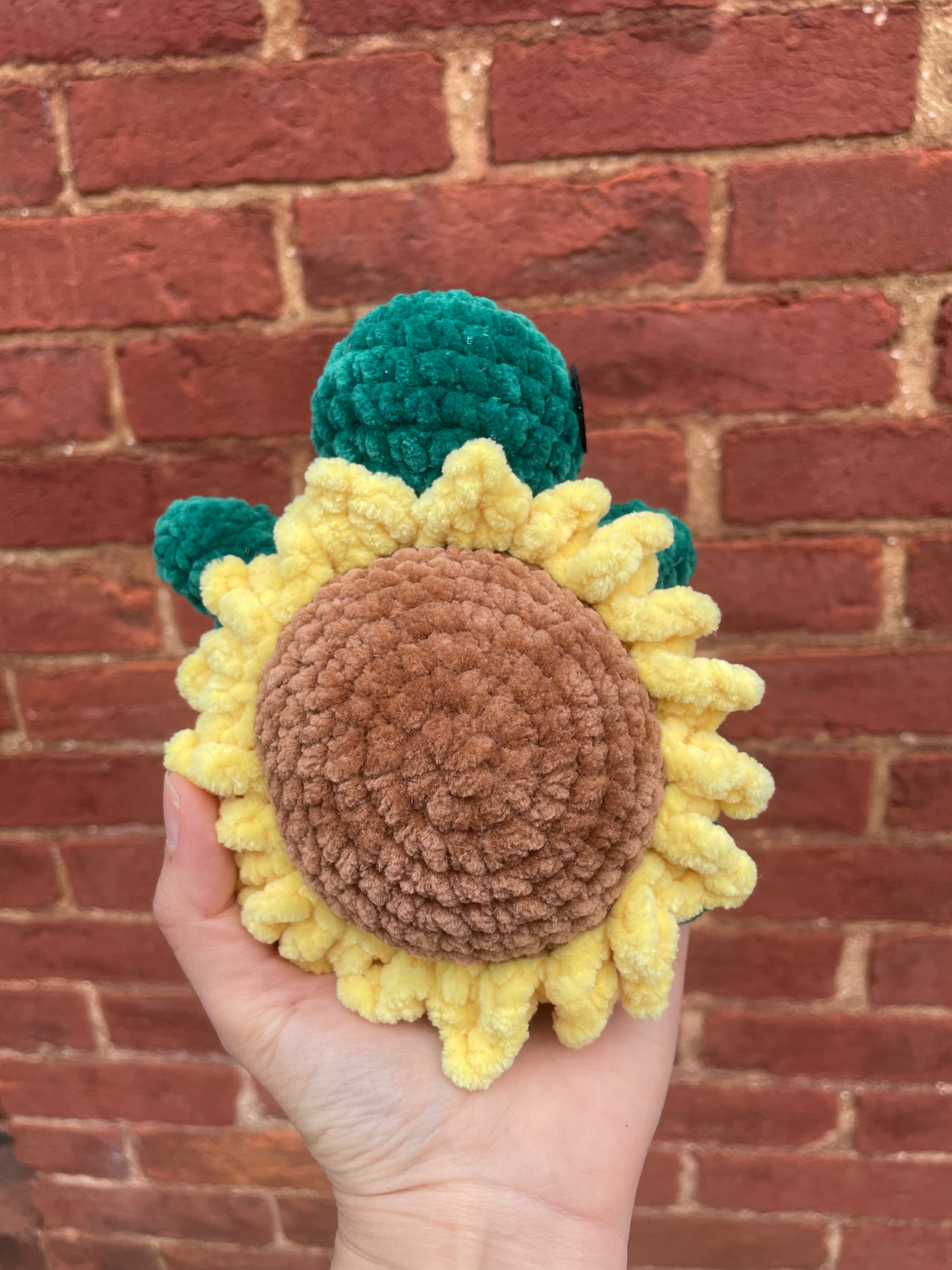 Small sunflower turtle